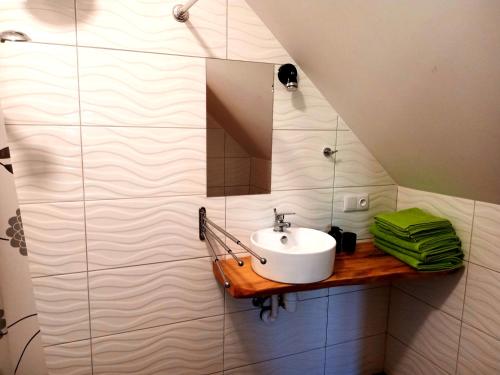 a bathroom with a sink and a mirror at Sowinka in Lutowiska