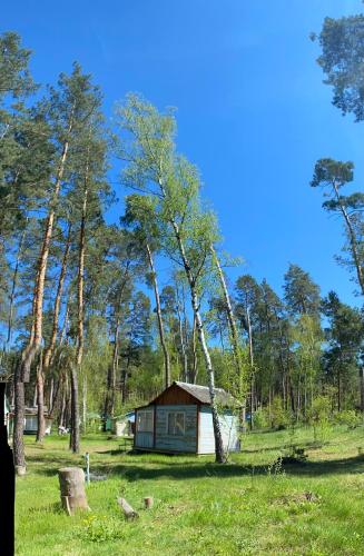 a small cabin in the middle of a field with trees at База відпочинку Енергія in Rudnya Peskovskaya
