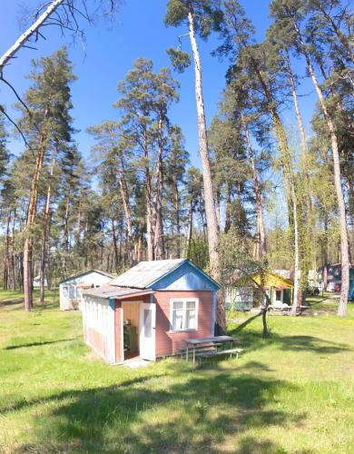 a smallshed in a field with trees in the background at База відпочинку Енергія in Rudnya Peskovskaya