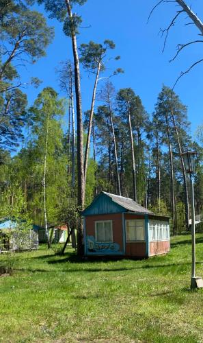 a small shed in a field with trees at База відпочинку Енергія in Rudnya Peskovskaya