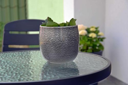 a vase sitting on a glass table with a plant at Fanni Vendégház in Dombóvár
