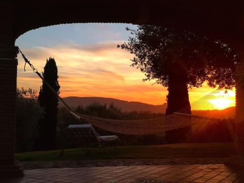 a hammock in a yard with a sunset in the background at Agriturismo Il Raduno - Max Lelli in Marsiliana