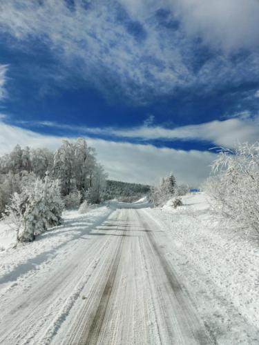 a snow covered road with trees and a blue sky at Golija Vikend kuća Milenković in Raška
