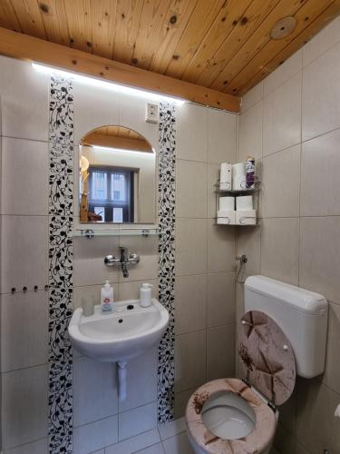 La petite salle de bains est pourvue d'un lavabo et de toilettes. dans l'établissement Little Cozy Apartman, à Miskolc