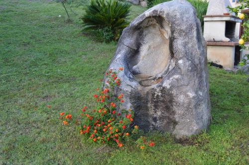 a rock with flowers growing out of it at Casa vacanze da Anna in Tortolì