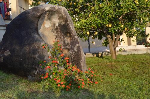a rock with some flowers in the grass at Casa vacanze da Anna in Tortolì