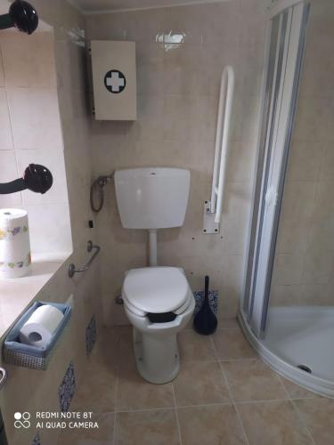 a small bathroom with a toilet and a shower at Ostello ninin de ma' in Framura