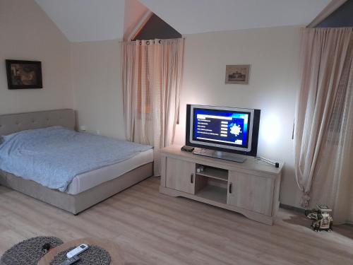 a bedroom with a bed and a television on a table at Wanted Šabac apartman in Šabac