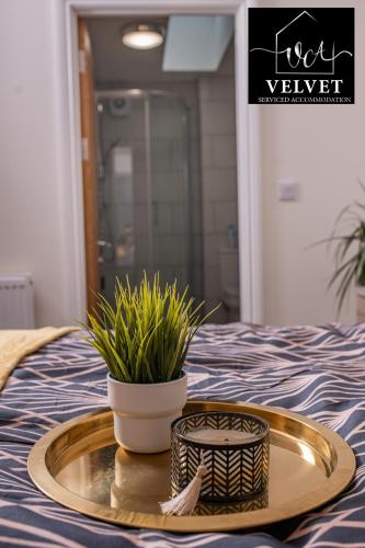 Foto dalla galleria di 1 Bed House , Free WiFi,Free Parking,Leasure,Business a Swansea