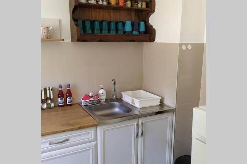 a kitchen with a sink and a counter top at Šumski Raj- Forest Paradise in Velika Remeta