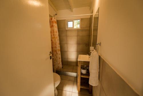 a small bathroom with a toilet and a sink at NomeolvidesMás in Tandil