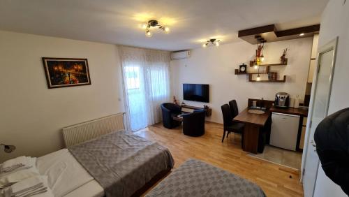 a small room with a bed and a desk and a kitchen at DM apartment in Niš