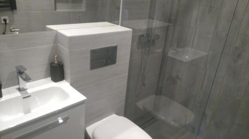 a bathroom with a shower and a toilet and a sink at Pueblo Pokoje in Stegna