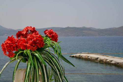 a vase of red flowers sitting on a table near the water at Nefeli's Sirma Klima in Klima