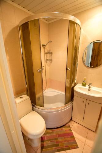 a bathroom with a shower and a toilet and a sink at Cietokšņa iela 55a in Daugavpils