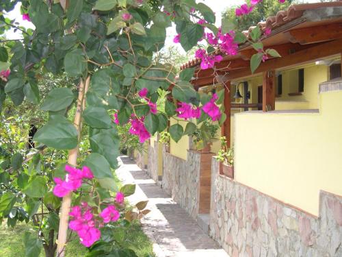 Zahrada ubytování Hotel Villaggio Tabù