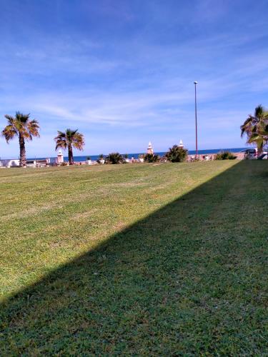a long shadow of a palm tree on a field at Villa Longo de Bellis in Bari