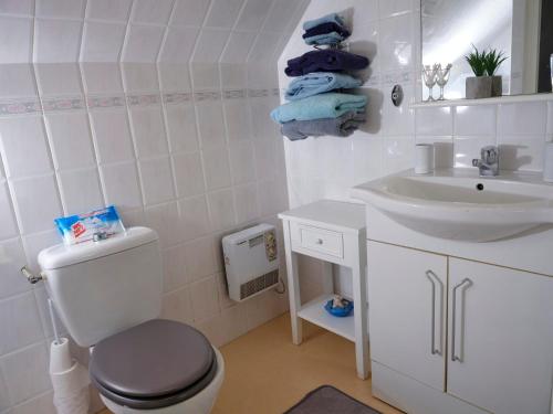 un baño con inodoro y lavabo en Les Roses, en Santec