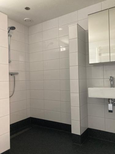 Et badeværelse på Vakantiehuis 't Laaisterplakky zonder drempels