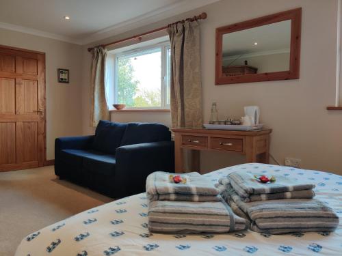 a bedroom with a bed and a chair and a mirror at Nant Gloyw Oswestry in Oswestry