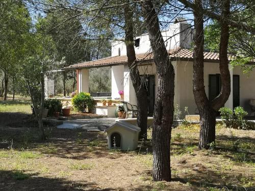 Casina la Rosina – Photos 2