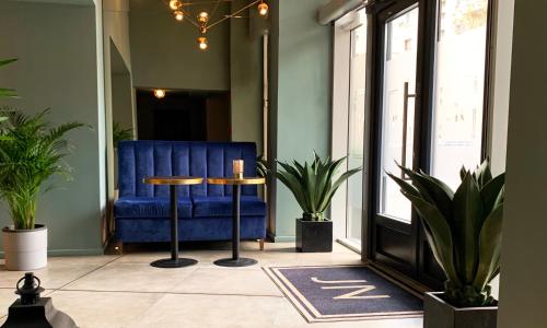 a blue chair and a table in a room with plants at JN Boutique Hotel in Bucharest