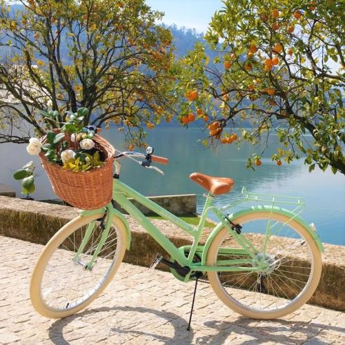 a green bike with a basket with flowers in it at Douro Suites in Riba Douro