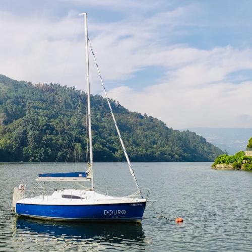 a blue and white boat sitting in the water at Douro Suites in Riba Douro