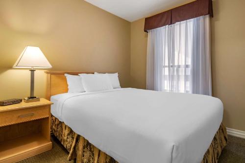 Un ou plusieurs lits dans un hébergement de l'établissement Econo Lodge Inn & Suites