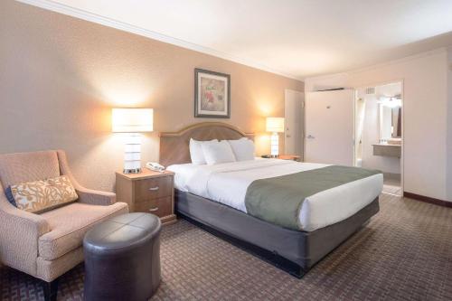 Quality Inn & Suites Lake Havasu City 객실 침대