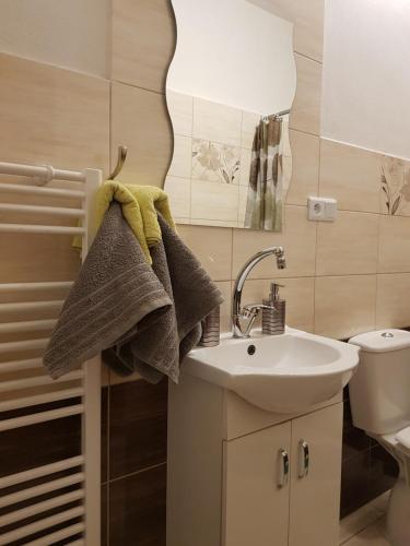 een kleine badkamer met een wastafel en een toilet bij Ubytovanie pod Hradom in Sklené Teplice