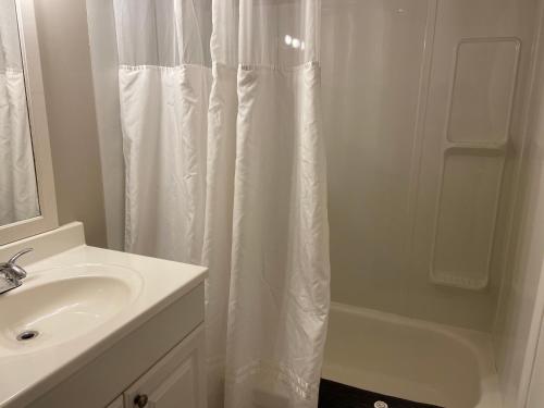 a bathroom with a shower curtain and a sink at Monashee Lodge in Revelstoke