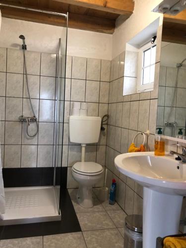 een badkamer met een douche, een toilet en een wastafel bij Vivenda Flores - Casa Hortensia in Lomba