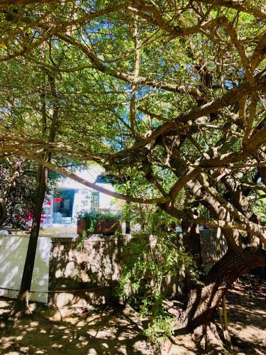 Κήπος έξω από το The Little Hideaway Guesthouse
