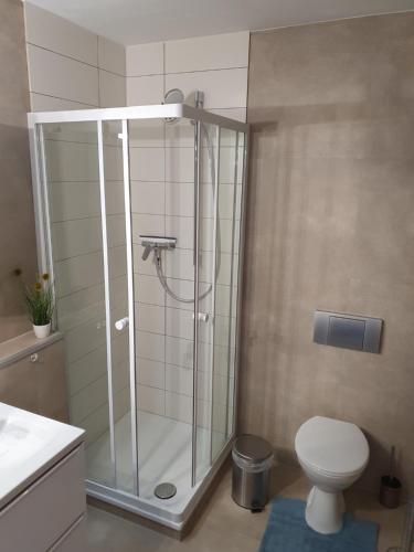 a bathroom with a shower with a toilet and a sink at Am Walde in Trassenheide