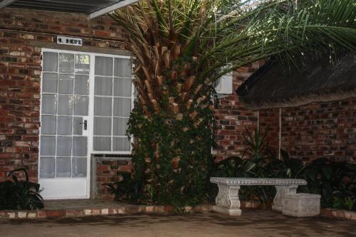 a palm tree in front of a door with a bench at De Heide Guesthouse in Bothaville