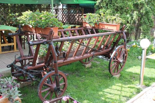 an old wooden cart with potted plants on it at Pension Tip-Top in Târgu-Mureş