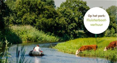 a man in a boat in a river with cows at Cosy Cabin - 6 pers in Zuna
