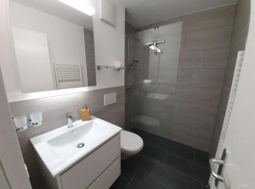 La salle de bains est pourvue de toilettes, d'un lavabo et d'une douche. dans l'établissement Alpen-Fewo, Residenza Quadra 225, à Flims