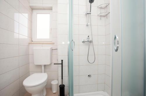 a bathroom with a toilet and a shower at Studio apartman Amalie in Pazin
