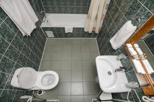 a bathroom with a toilet and a bath tub at Yuzhny Dvorik in Gorki-Leninskiye