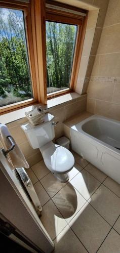 a bathroom with a toilet and a bath tub at Shannon Oaks Apartments in Portumna