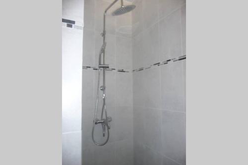 une douche avec pommeau de douche dans une salle de bain dans l'établissement 12 RDC Appartement 2 chambres jardin terrasse, à Plonéour-Lanvern