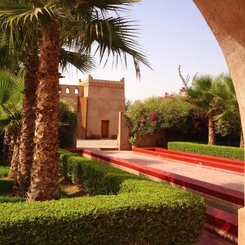 a palm tree in front of a building at La Maison Des Oliviers in Marrakesh