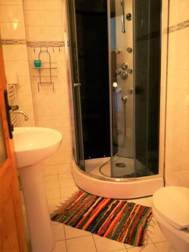 a bathroom with a shower and a sink and a toilet at Penzión Pod orechom in Turčianske Teplice