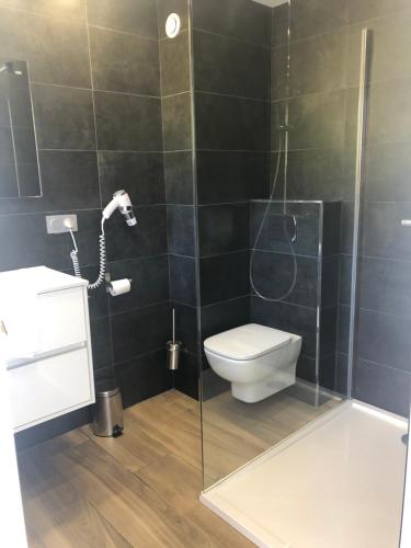 een badkamer met toilet en glazen douche bij APPARTEMENT DUPLEX PORTICCIO Centre in Porticcio