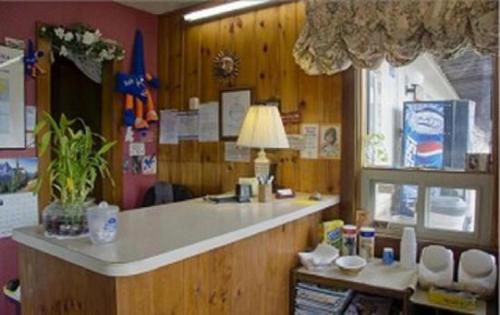 a kitchen with a counter and a lamp in a room at Best Inn in Wellsville