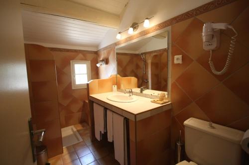 a bathroom with a sink and a mirror and a toilet at Hotel Van Gogh in Saint-Rémy-de-Provence