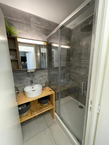 une salle de bain avec un lavabo et une douche dans l'établissement Cosy Lagune, à Saint-Cyprien