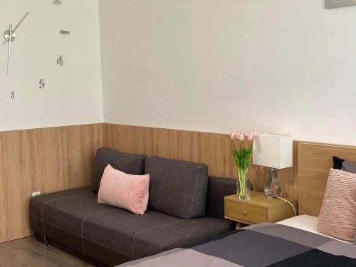 Lake and Spa Apartmanにあるシーティングエリア